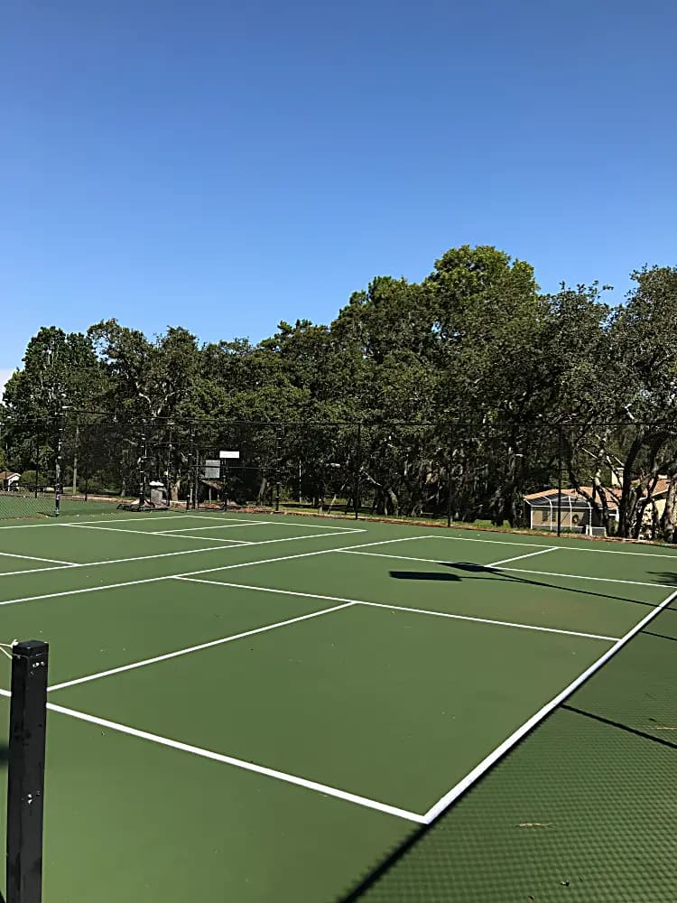 Professional tennis court striping