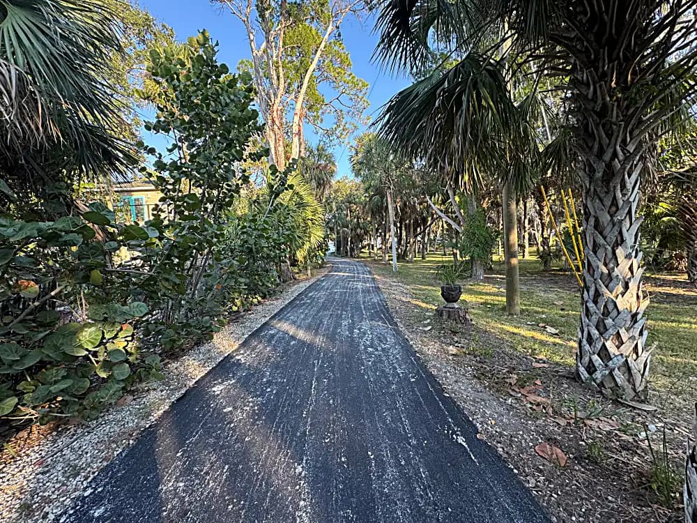 Driveway with lush tropical landscaping