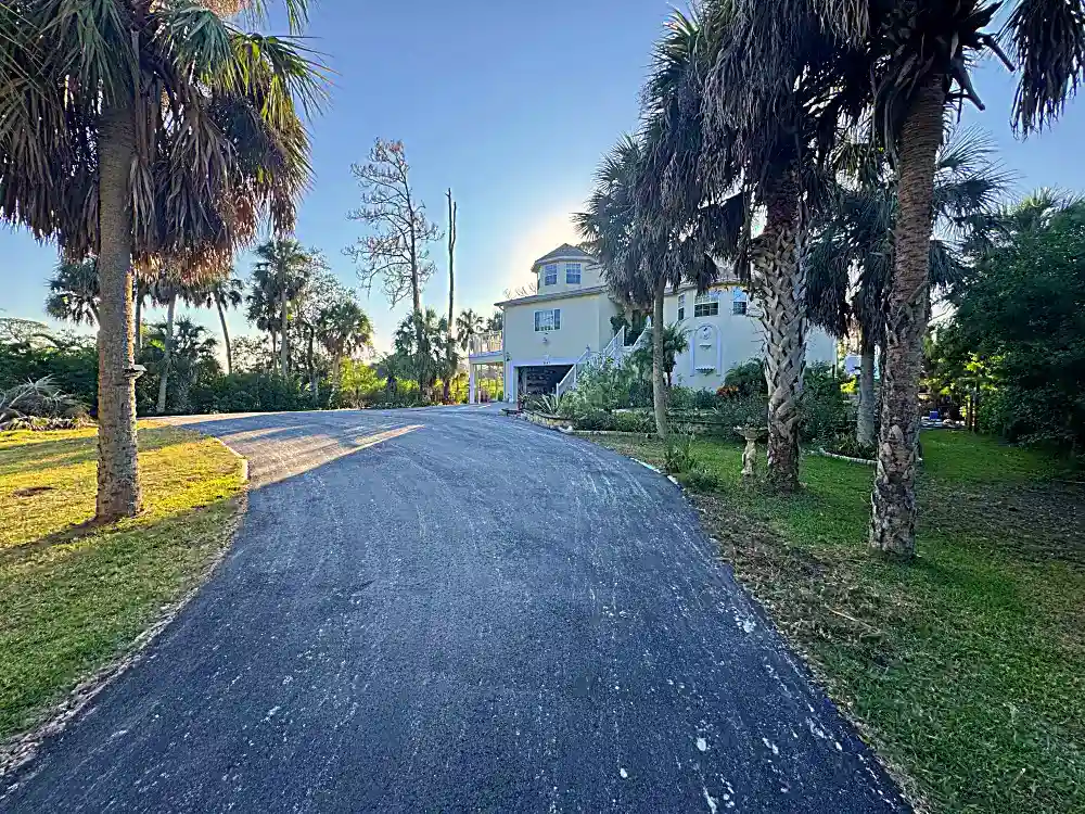 Completed driveway extension through tropical landscaping